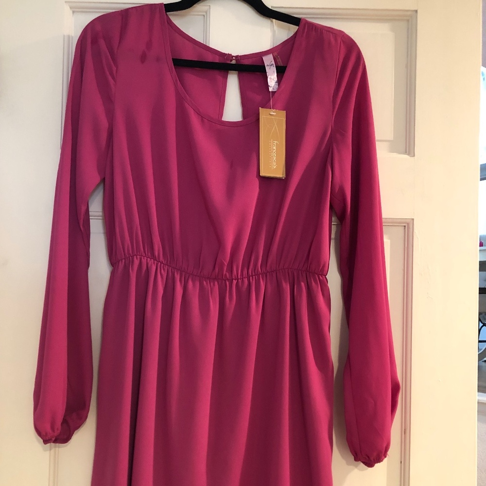 NWT Francesca’s dress